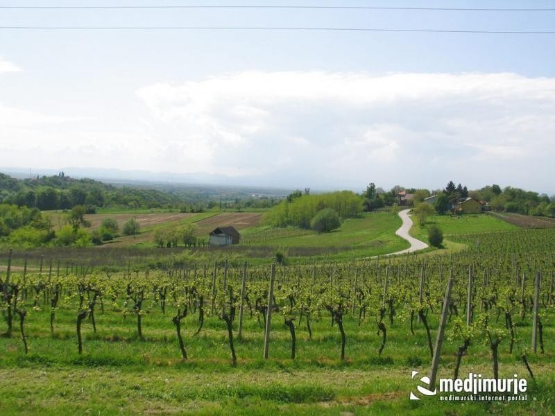 slika0039