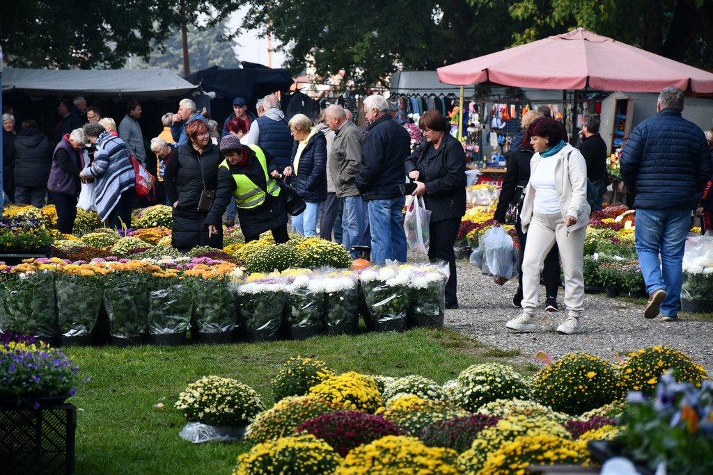 FOTO S dolaskom hladnijih dana povećan interes za kupnju drva za ogrjev