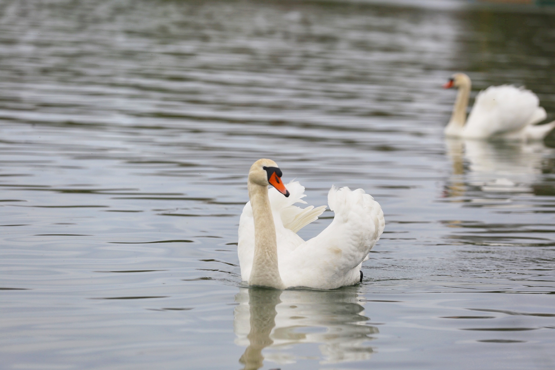 Klikom po Marini (nedjelja, 26.3.2023.)