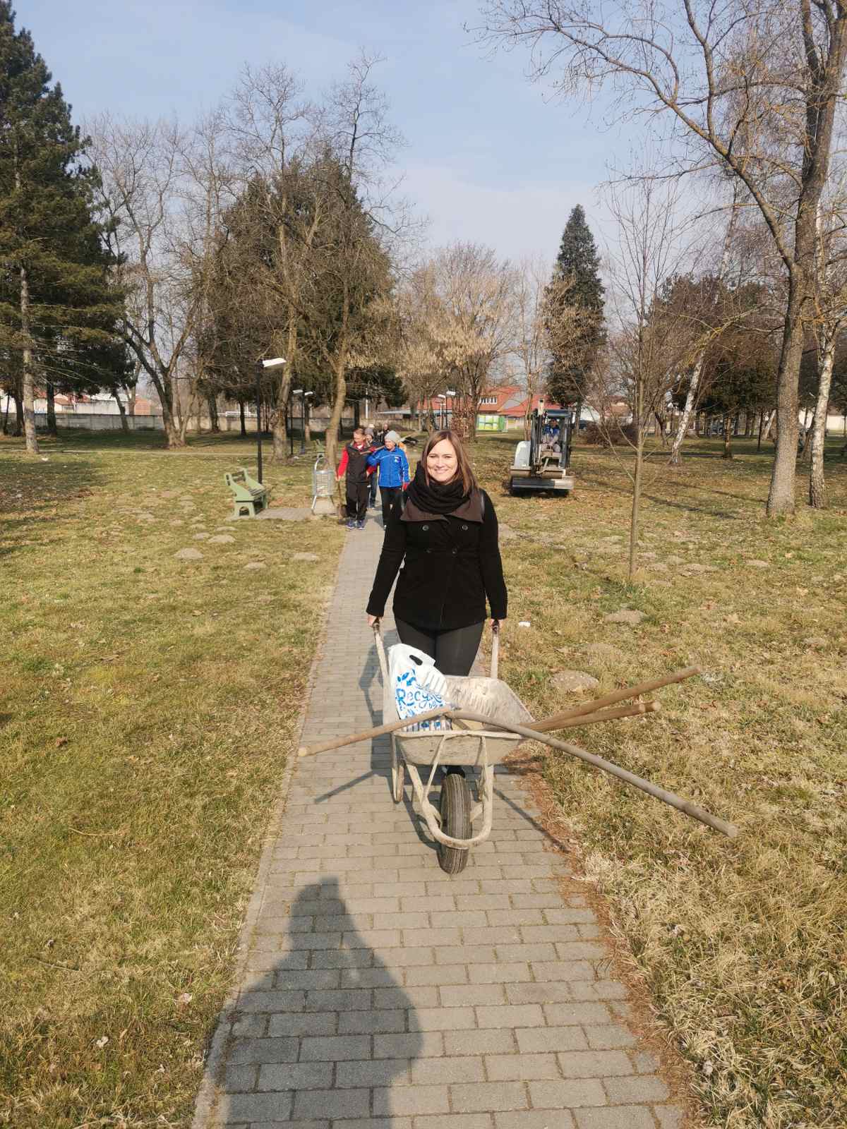 Image 5278006 (auto)