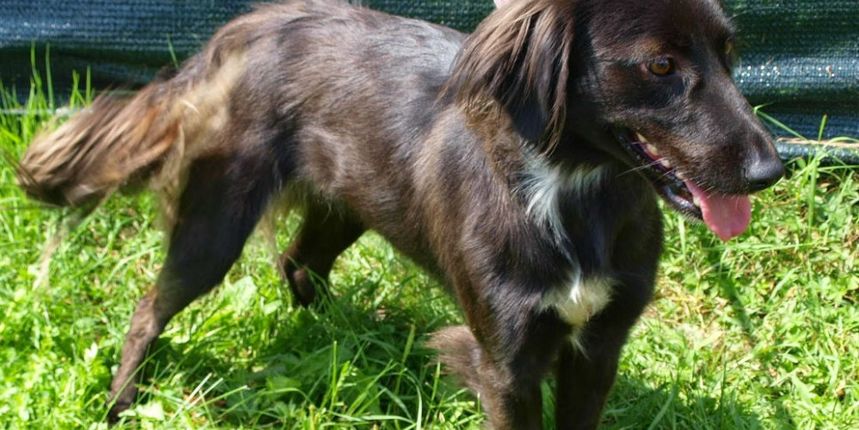 334074969×800812509 334074969×800812509