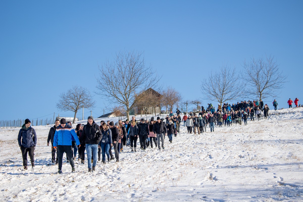 Vincekovo 2024., Štrigova Vincekovo 2024., Štrigova