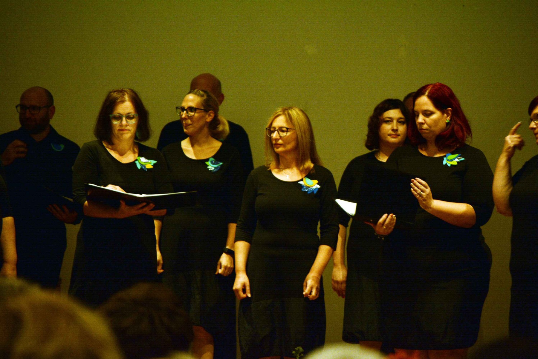 PREDIVNA SUBOTNJA VEČER Koncert Ansambla Pučpuljike