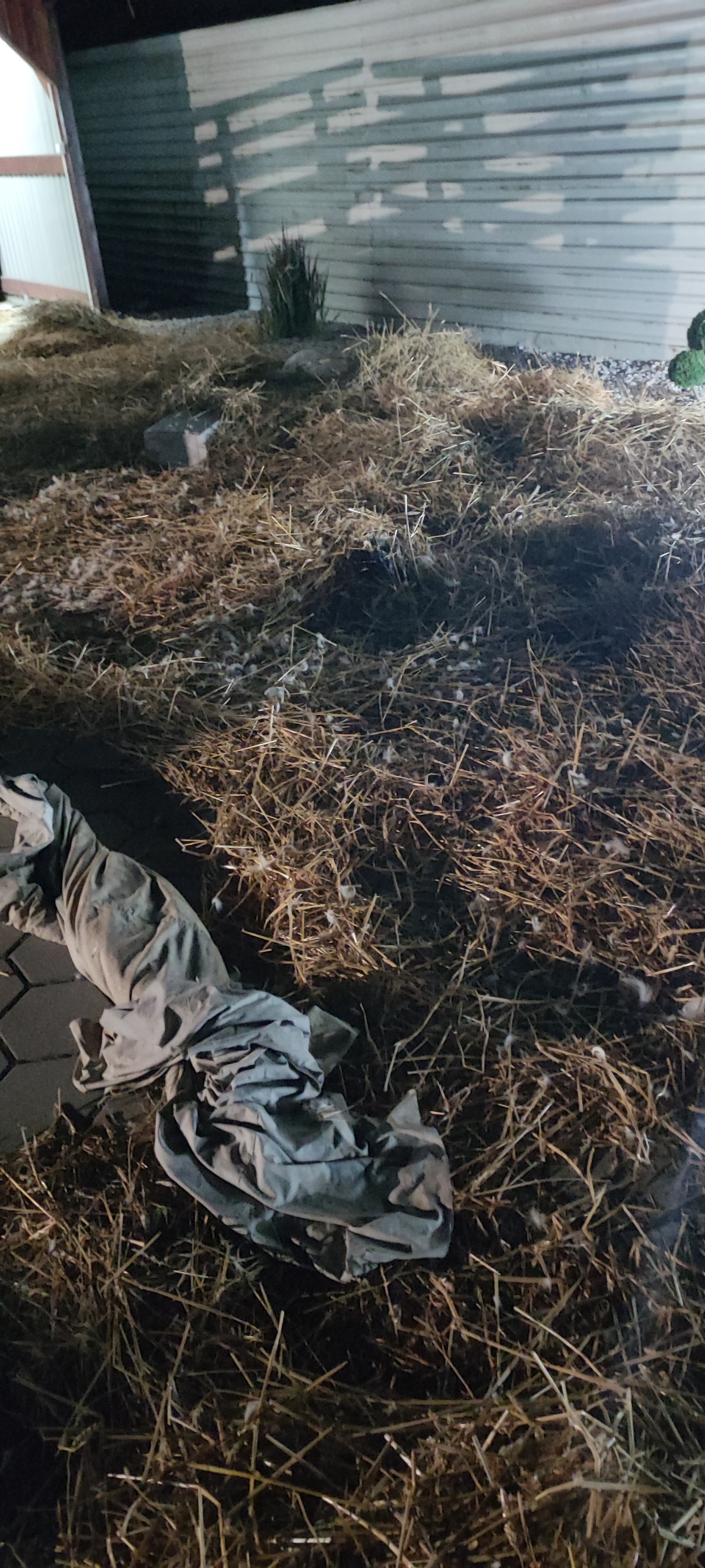 Potepanje u Goričanu