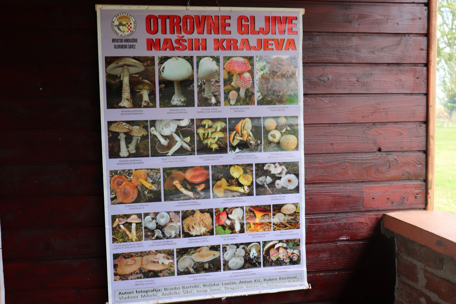 U Goričanu održana Gljivarijada