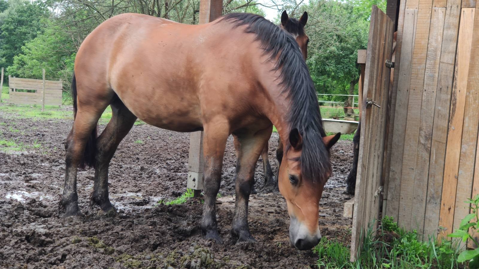 FOTO Putoholičari Iva i Branko daleka putovanja zamijenili promoviranjem vlastitog kraja