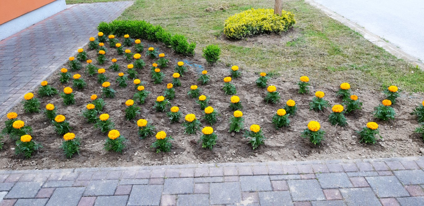 Članice udruge Brest cvijećem ukrasile svoj Podbrest