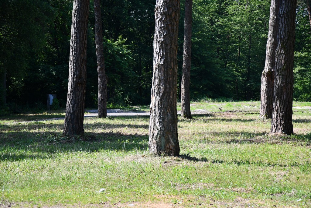 VIDEO I FOTO Na prostoru nekadašnje Međimurske hiže niknut će novi turističko-ugostiteljski kompleks VIDEO I FOTO Na prostoru nekadašnje Međimurske hiže niknut će novi turističko-ugostiteljski kompleks