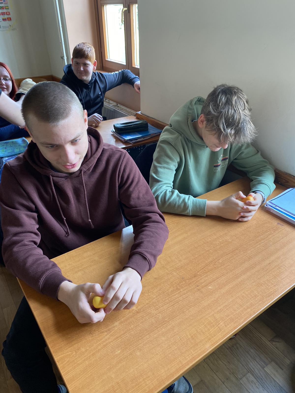 Srednja škola Prelog