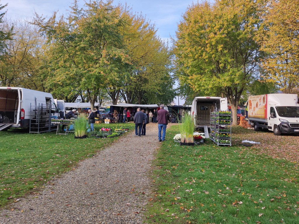 SAJAM SRIJEDOM Jeste li već probali meksički krastavac ili čajot?