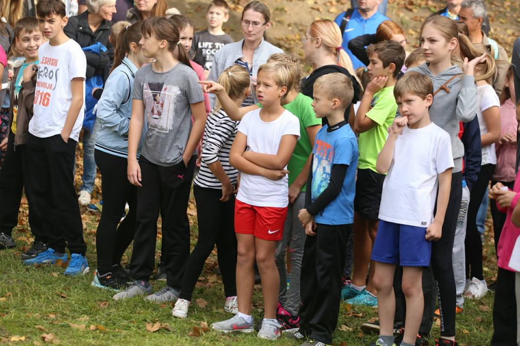 2271272110213284887693677116462