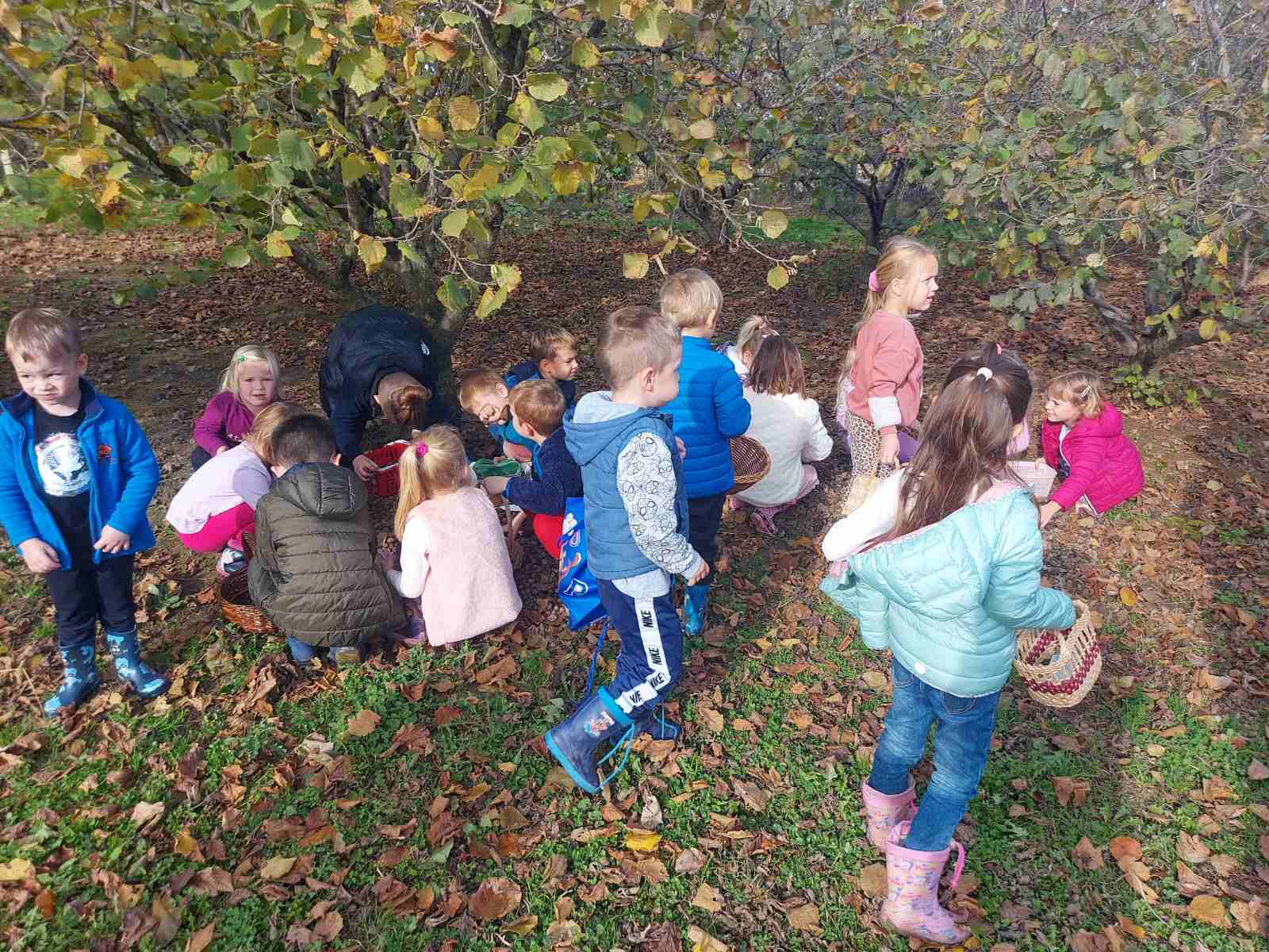 ‘Suncokreti’ iz čakovečkog vrtića Cvrčak posjetili lješnjikovac obitelji Sarač