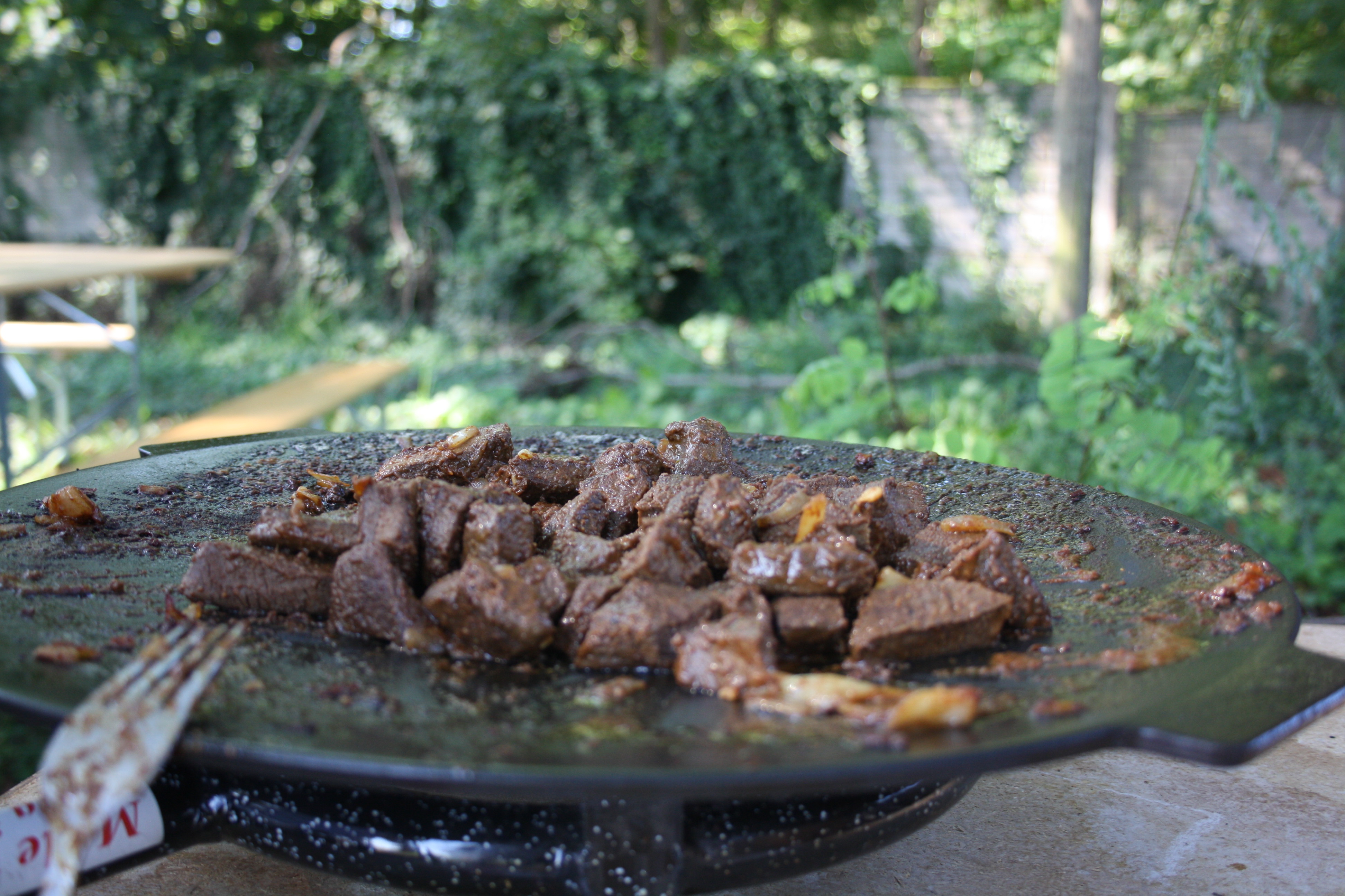 FOTO Održane ‘Tradicionalne seoske igre’ i gulešijada u Gardinovcu