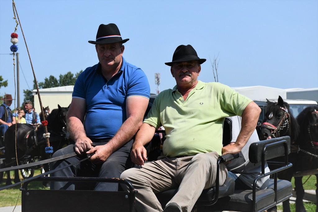 VIDEO I FOTO Međunarodno konjičko druženje okupilo brojne uzgajivače konja iz SZ Hrvatske te Slovenije i Austrije