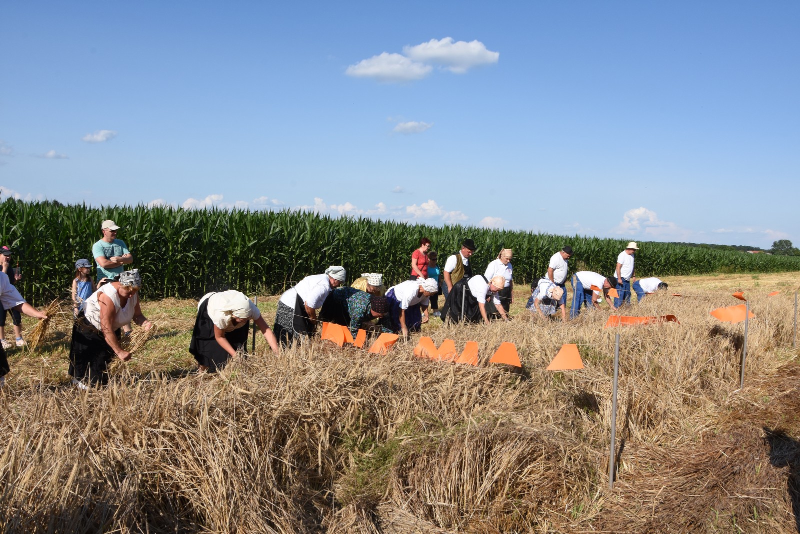 Mamičina žetva u Pušćinama