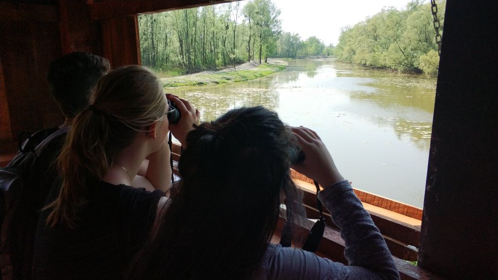 3141676677534730599117158661991