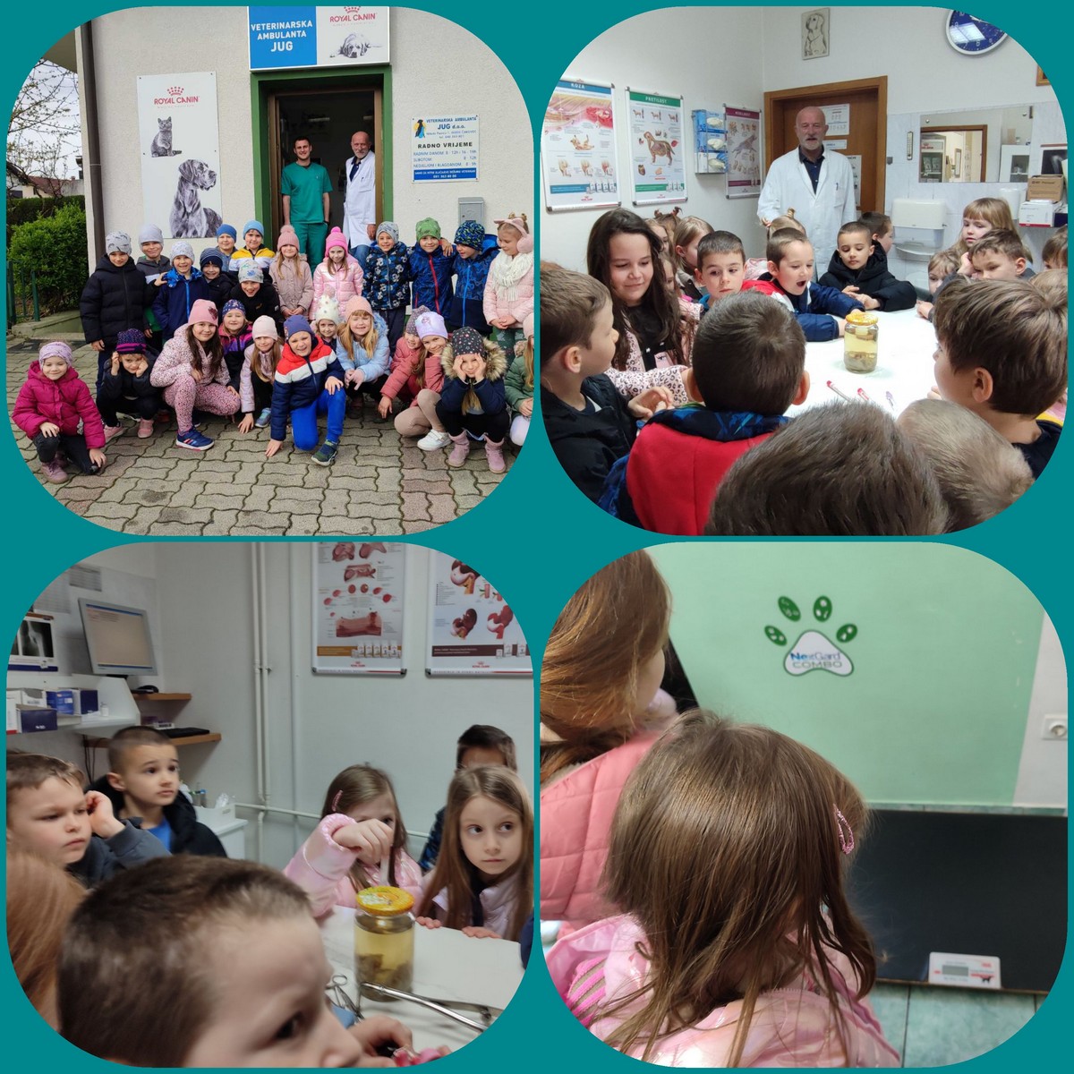 CVJETIĆI POSJETILI VETERINARA Djeca su imala prilike proći kroz cijelu ambulantu za kućne ljubimce