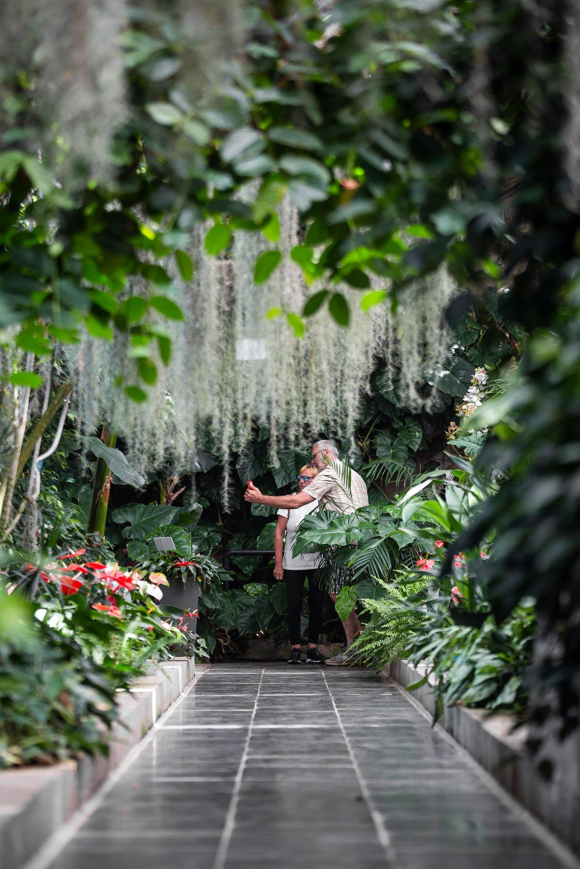 Image 5818393 (auto)