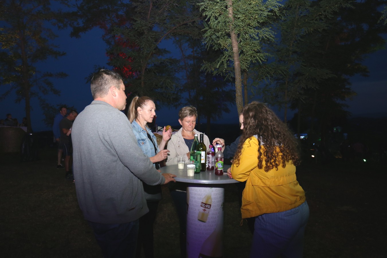 Odličan koncert Vatre u predivnom ambijentu Mađerkinog brega