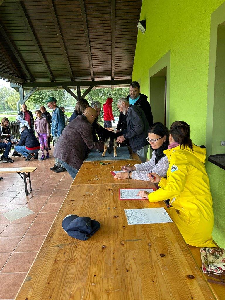 FOTO Održan 32. uzgojni pregled i smotra malog međimurskog psa u Donjoj Dubravi