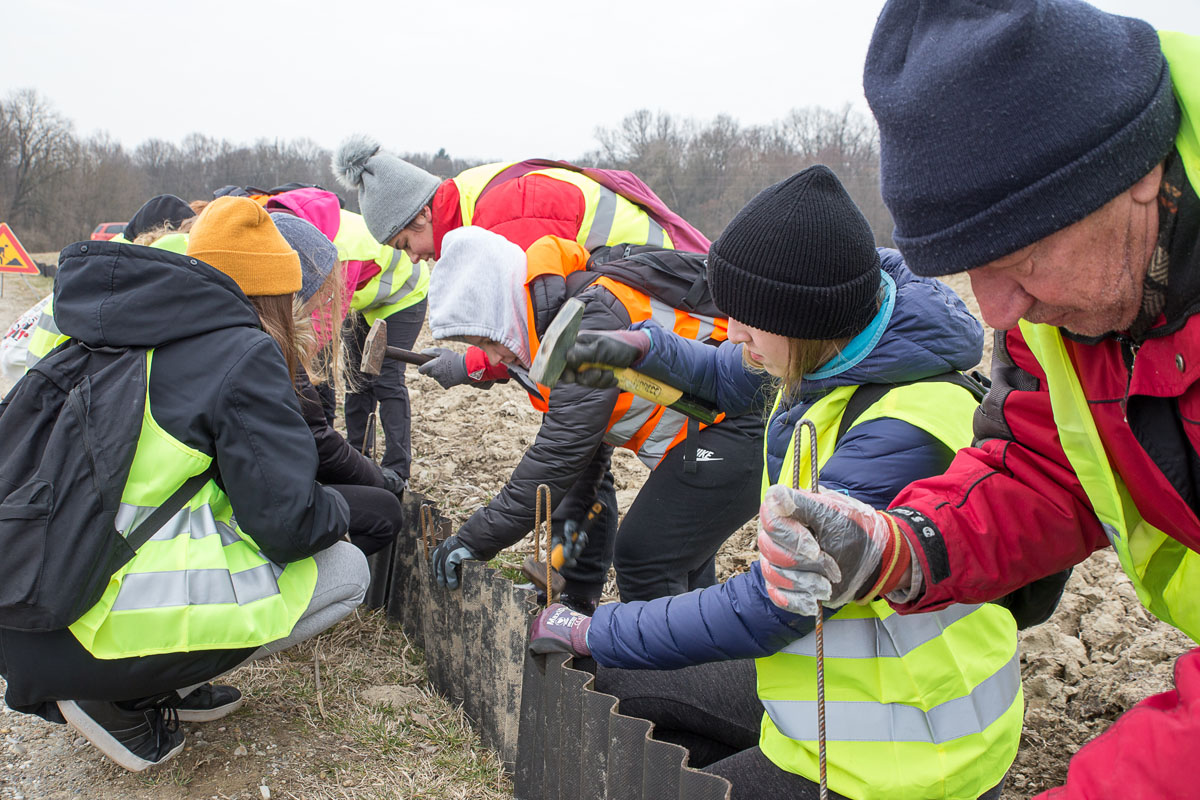 Akcija spašavanja vodozemaca