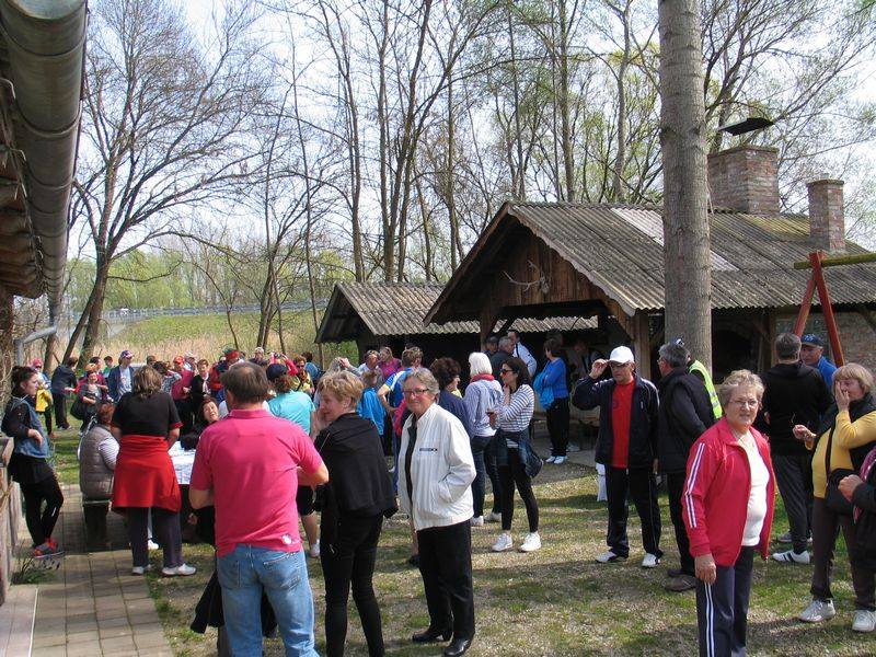 1293109910204634846350171546898