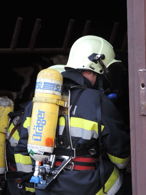 dscn8713637124134194