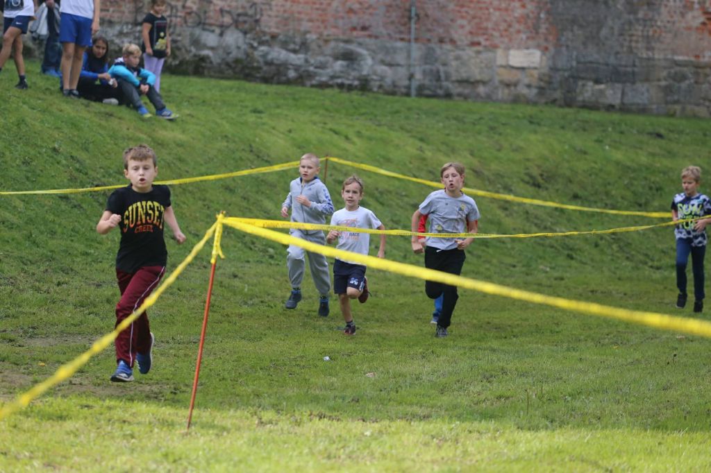 2271273910213284886893657497484