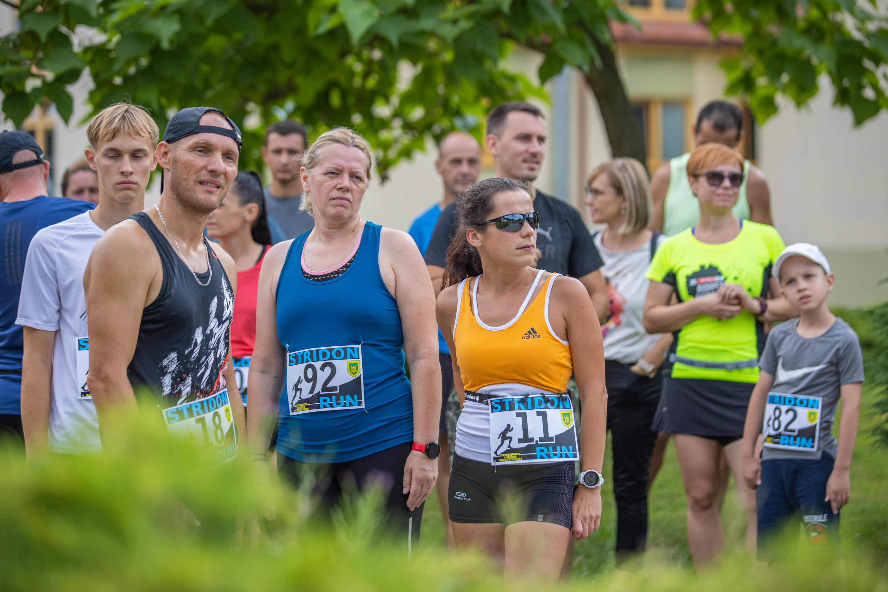 Image 5002794 (auto)