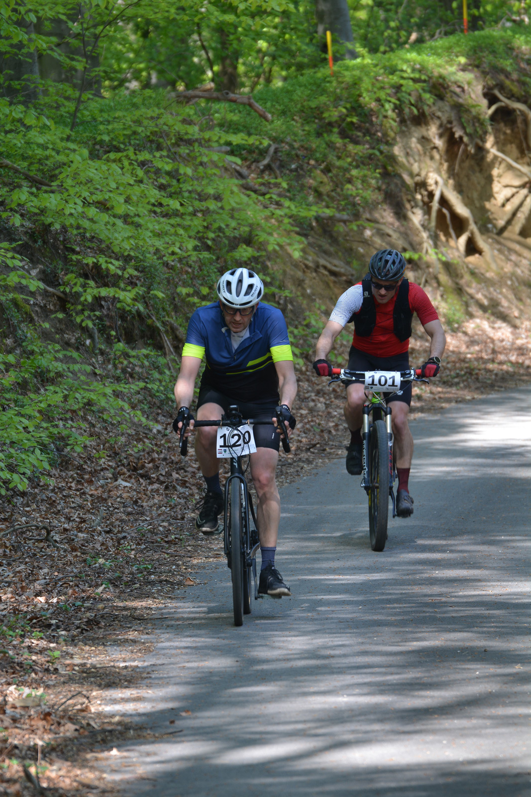 VELIKA FOTOGALERIJA Pogledajte kako je bilo je gravel maratonu između Mure i Drave VELIKA FOTOGALERIJA Pogledajte kako je bilo je gravel maratonu između Mure i Drave