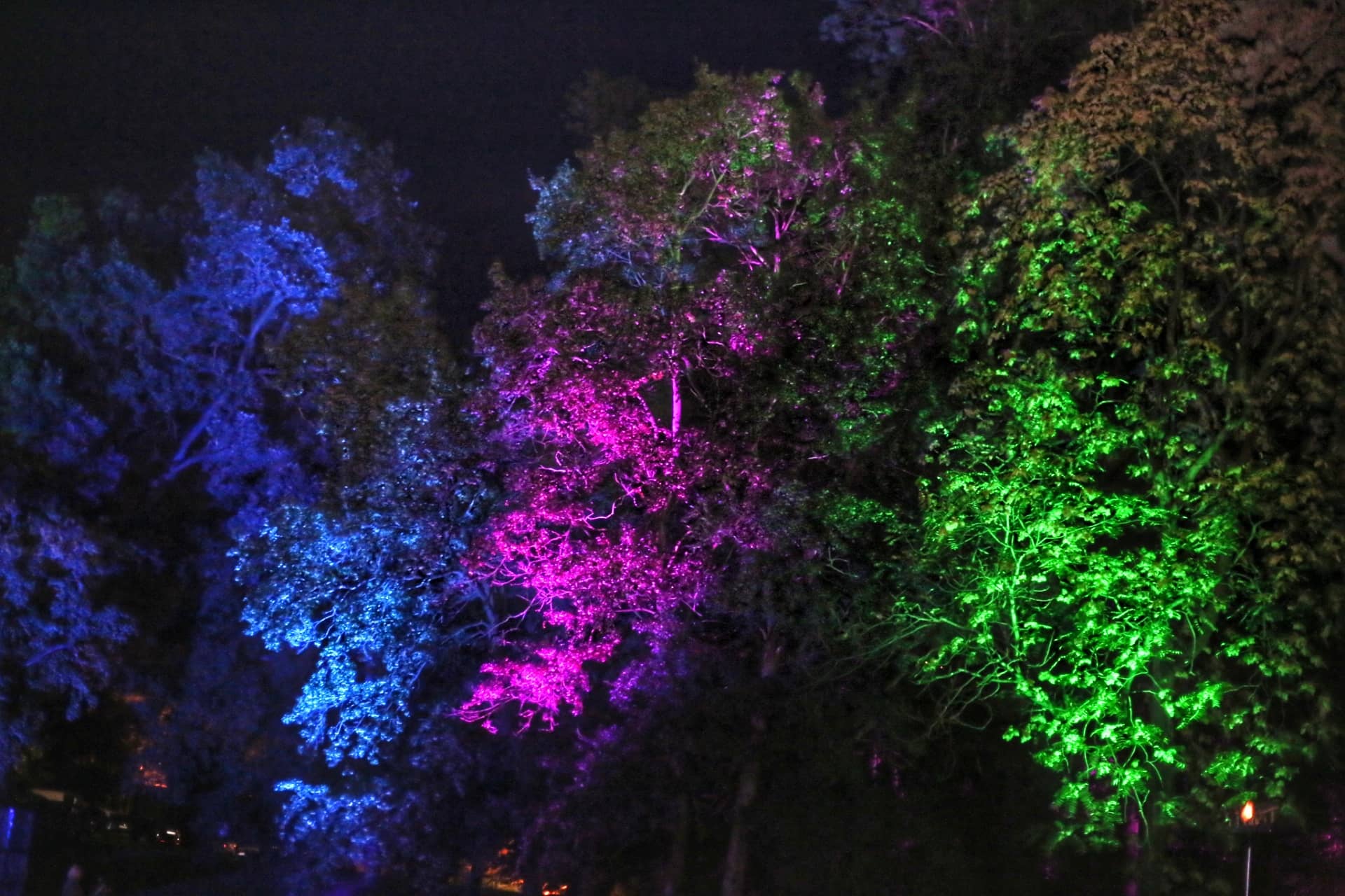 Otvorenje Zrinski art festivala