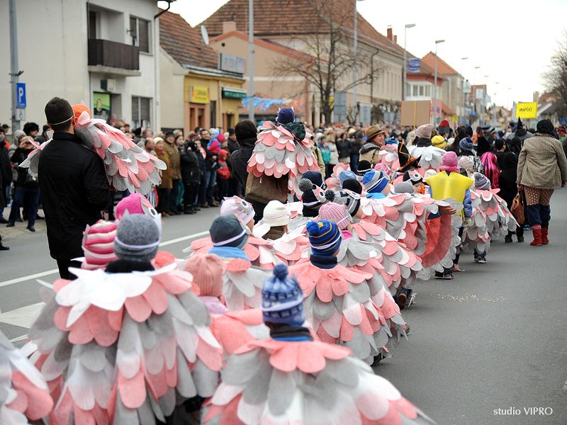 333614267dsc3425618729