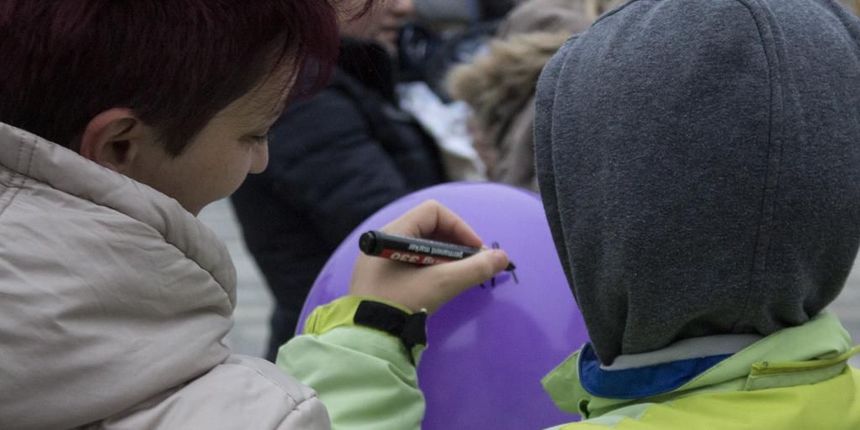 palcici05224782 palcici05224782