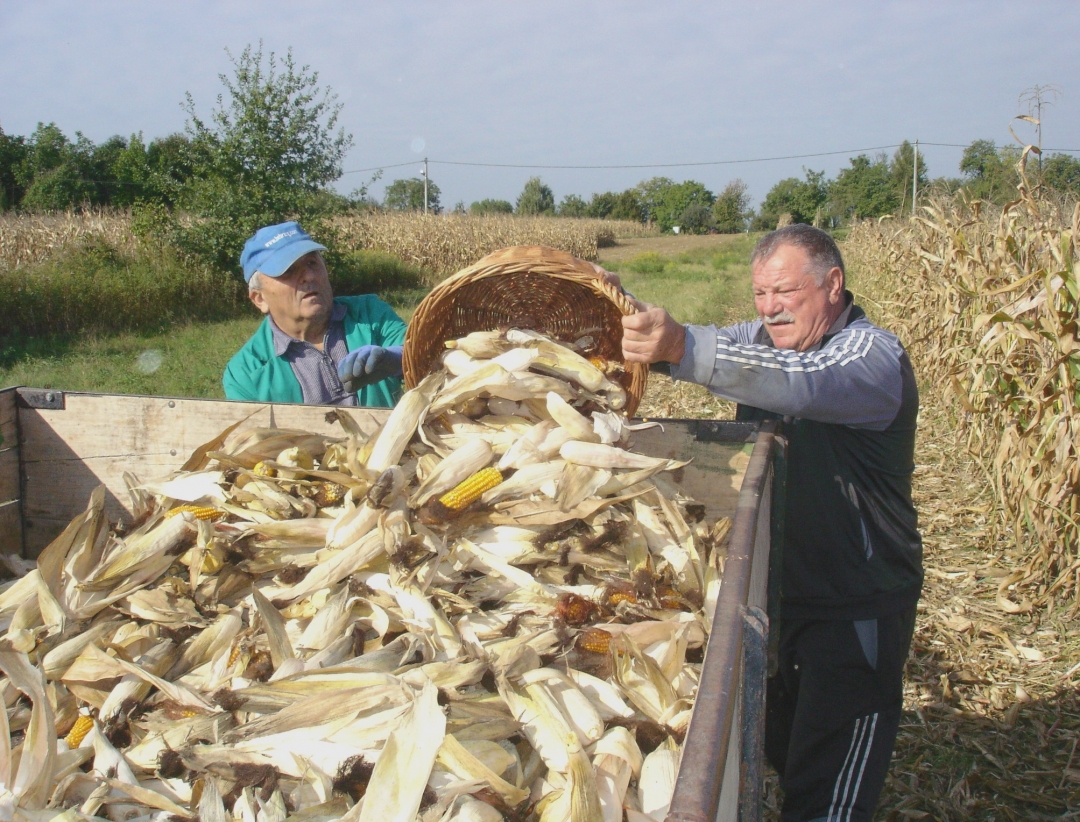 dsc04526407699394290