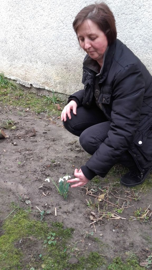 20160201141155733317