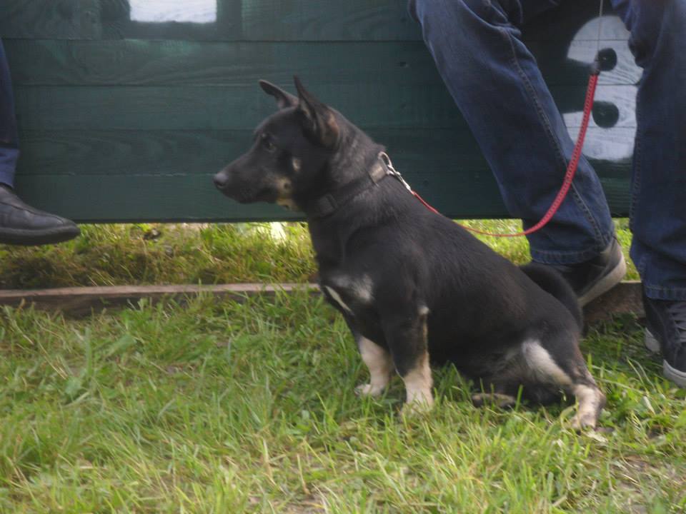 1036261632399868445004216189629