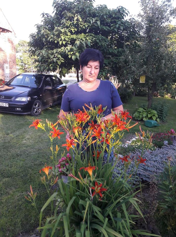 Dvorište obitelji Cenko