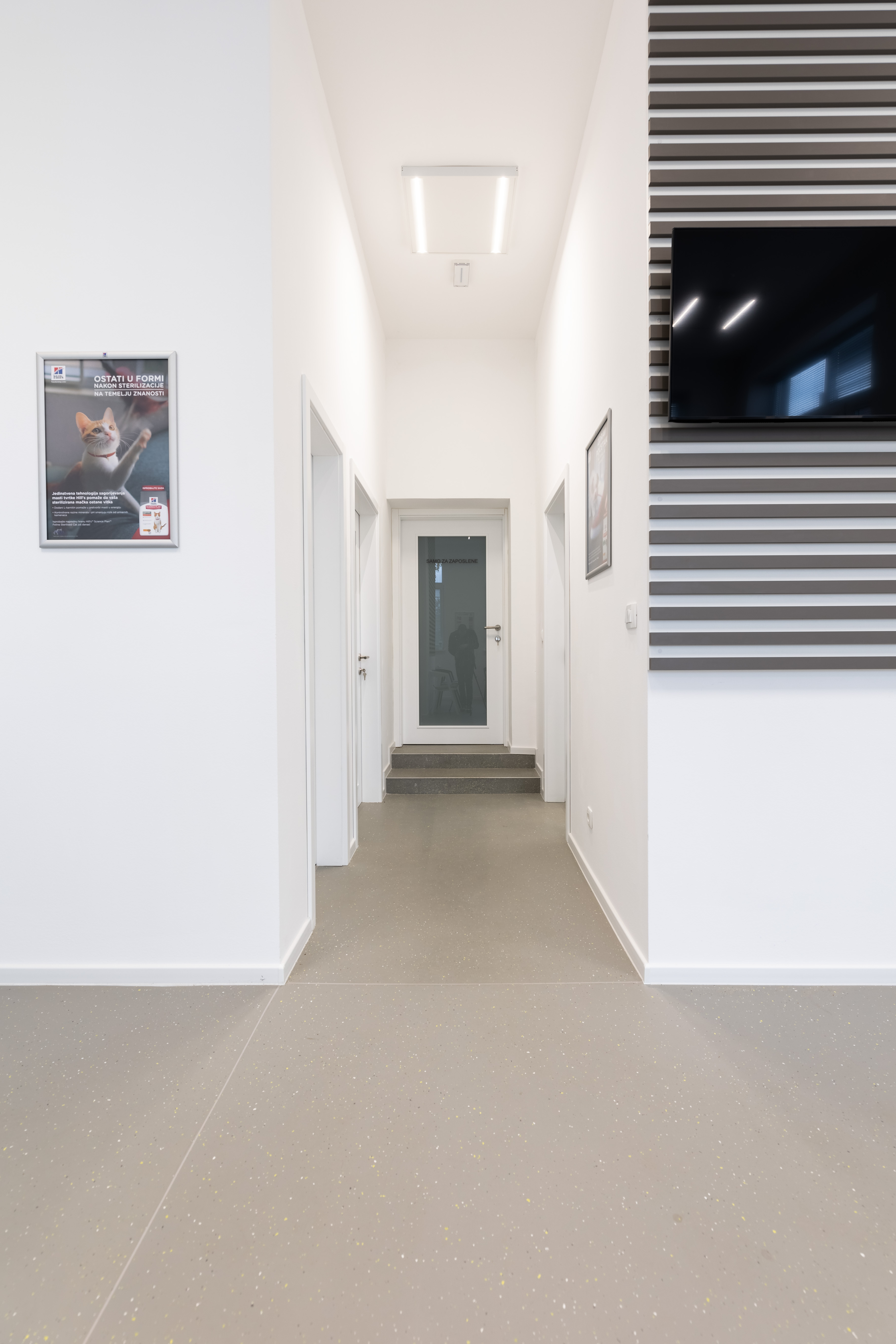 Image 5155628 (auto)