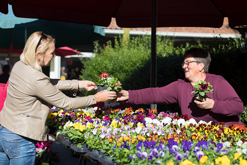 Klikom po Prelogu (21.9.2019.)