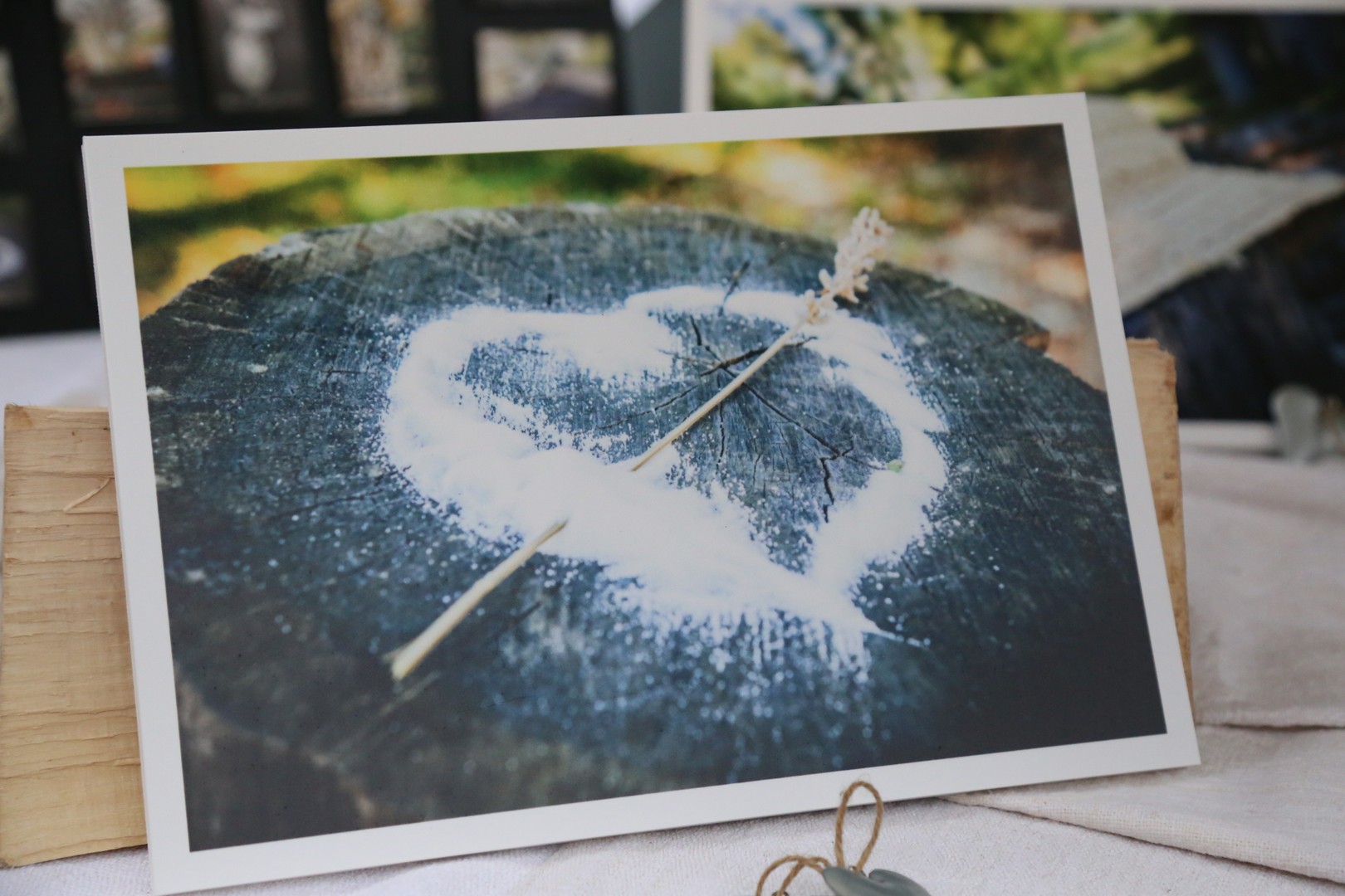 Županijska smotra učeničkih zadruga u Čakovcu