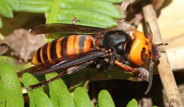 ebbc7c2b3c1c8994dd23953f47e27de