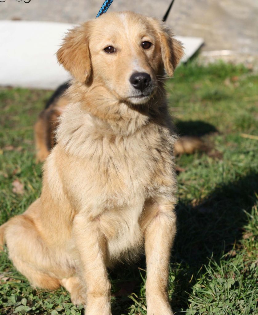 0eaa237f03c7ae02dc96ee4468d4665