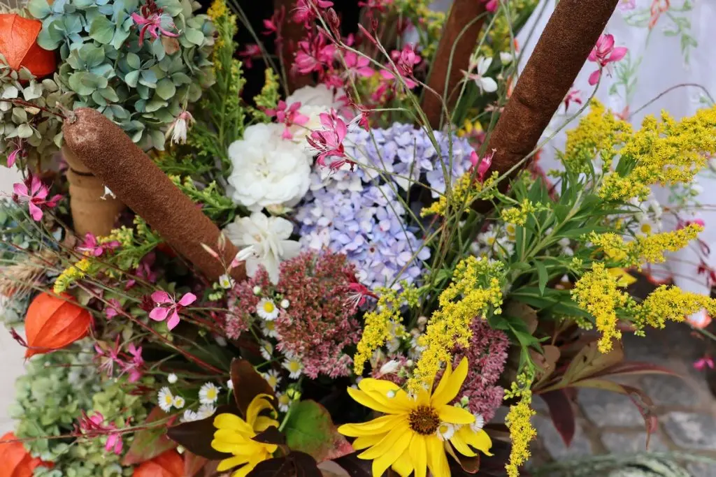 bakini kolači 2024 MŽ (10)