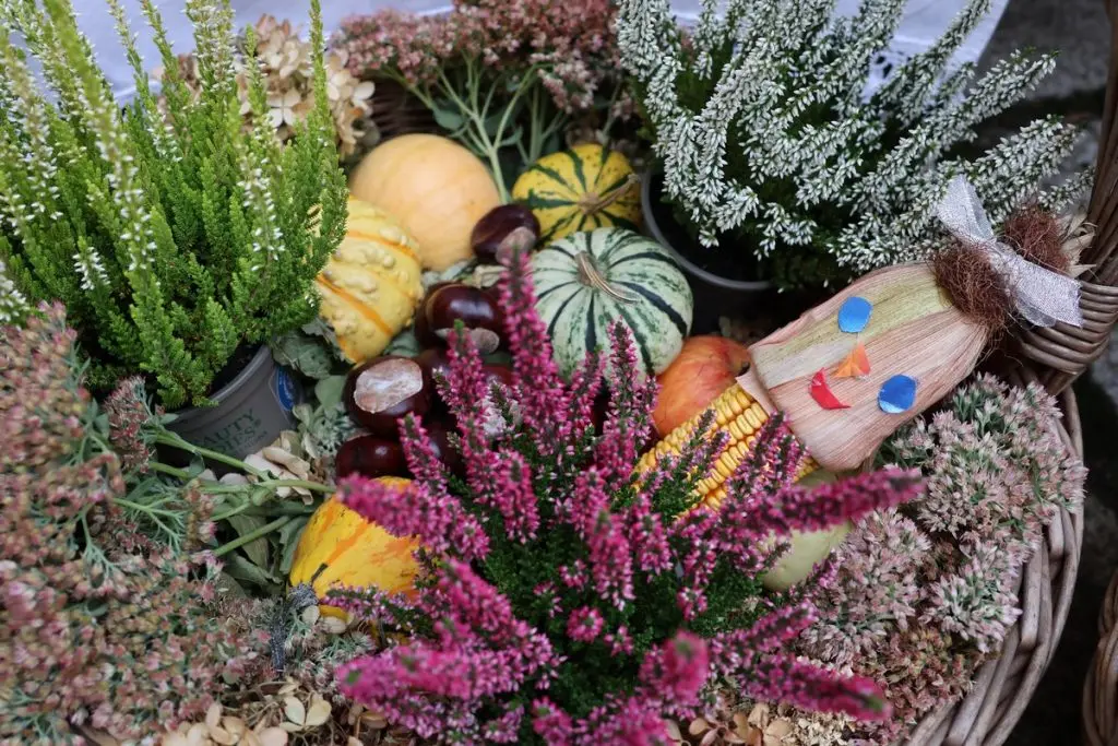 bakini kolači 2024 MŽ (38)