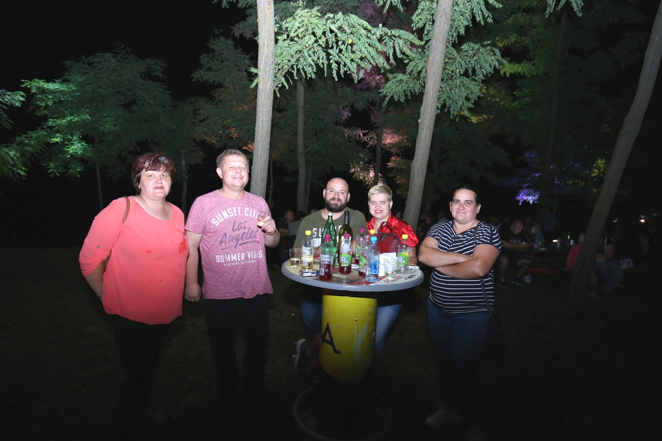 Odličan koncert Vatre u predivnom ambijentu Mađerkinog brega