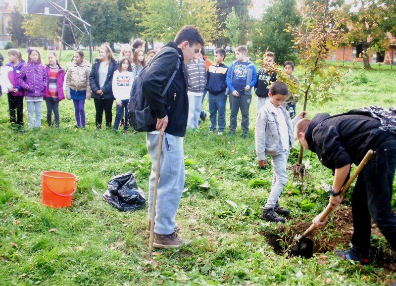 etwinningtreepribislaveccroatia