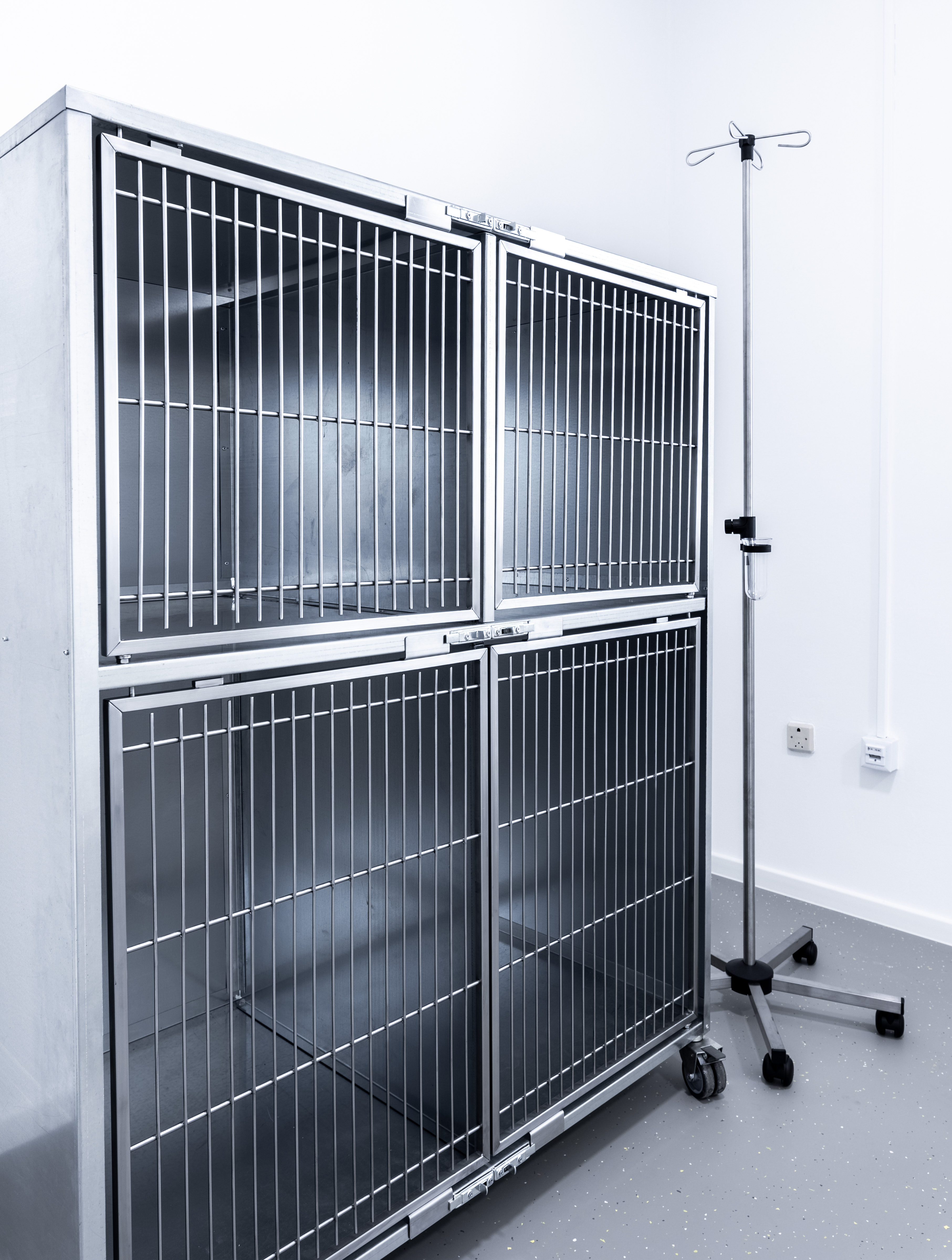 Image 5155658 (auto)