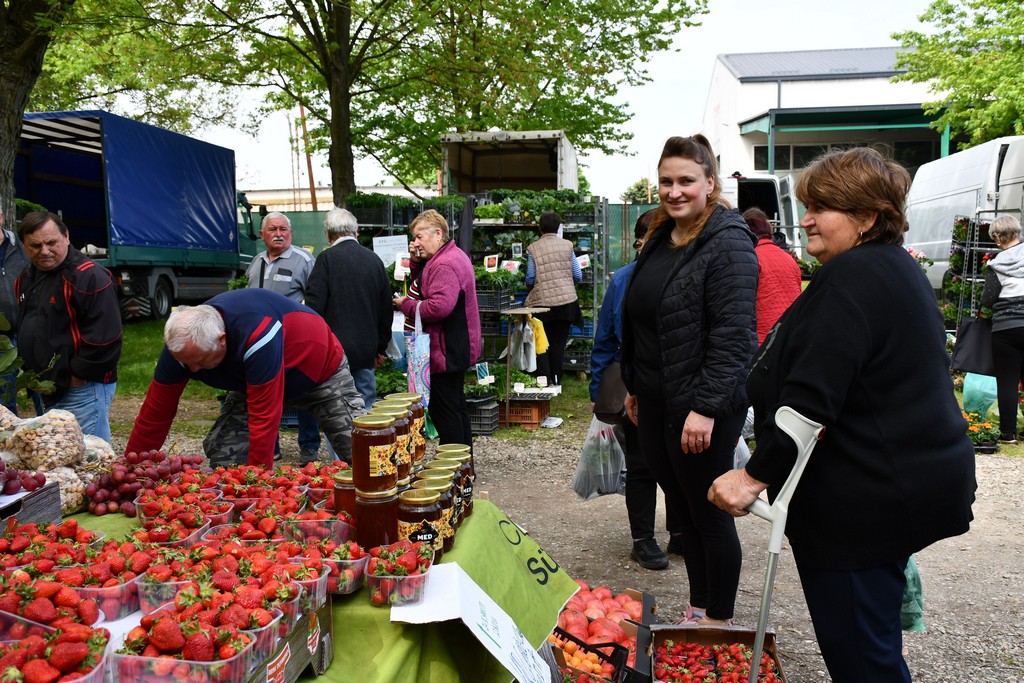 ČAKOVEČKI SAJAM SRIJEDOM Najveći interes i dalje vlada za presadnice