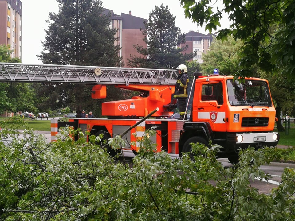 U Čakovcu se srušilo stablo