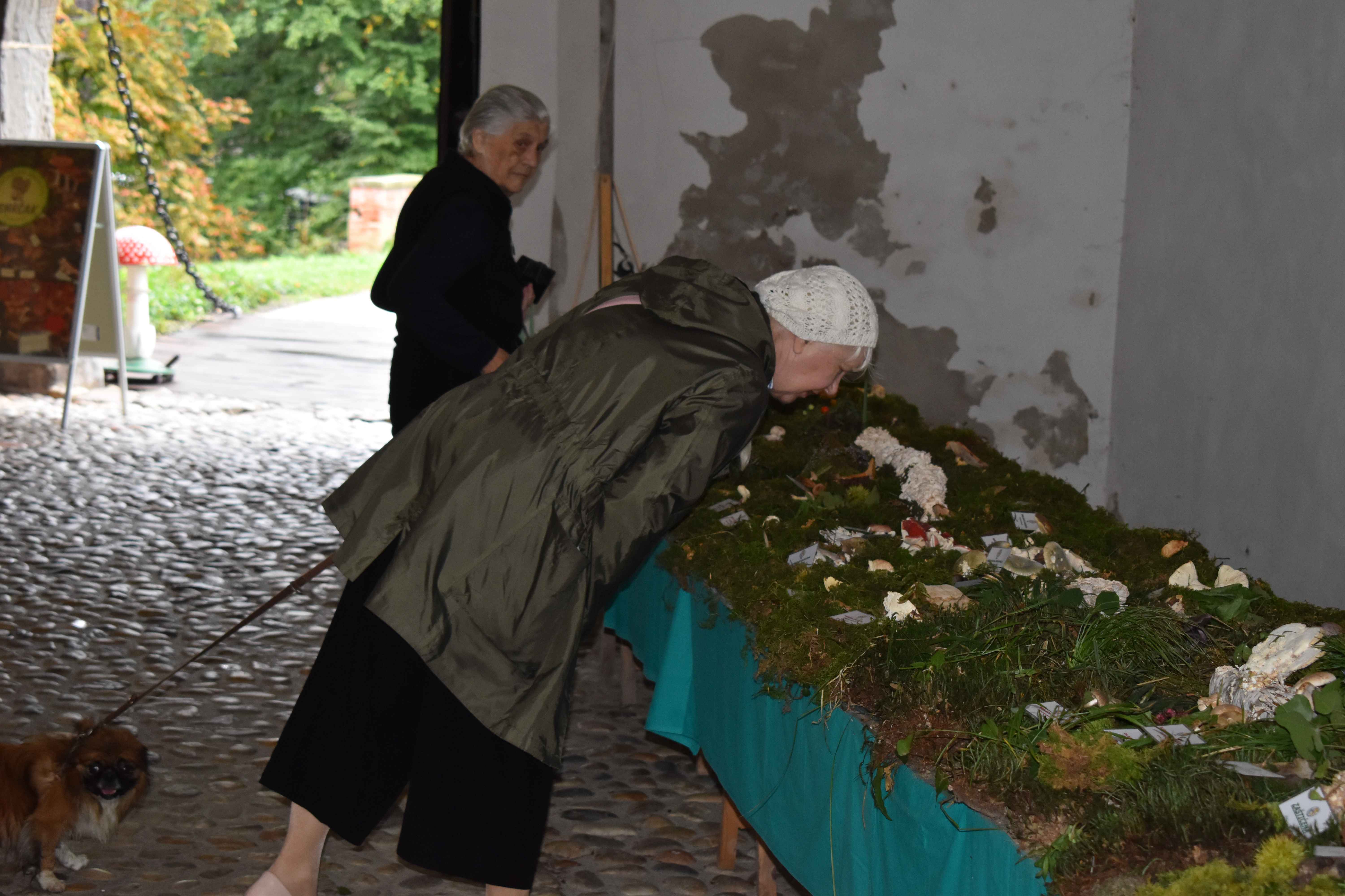 FOTO Ovog vikenda razgledajte zanimljivu i edukativnu izložbu gljiva u Čakovcu